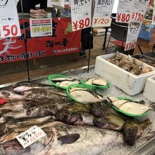 らうす海鮮市場 