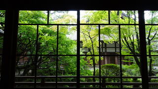 紅葉が美しく、見返り阿弥陀が特徴のお寺