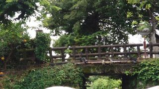 あいにくの雨でしたが、地元の人の説明を聞きながらの川下りはいいですね