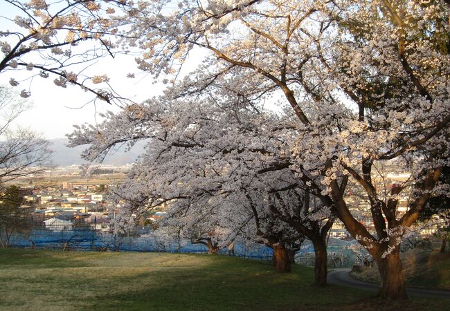 桜の名所