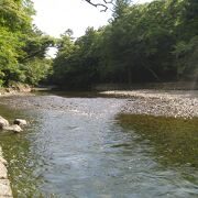 雰囲気のある川岸でした