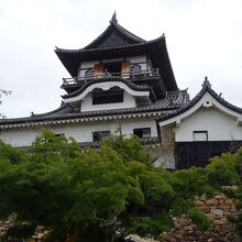 ここからまだまだです。