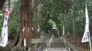 社殿へは階段で