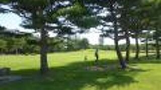 整備された芝生が綺麗