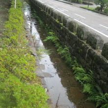 用水路の様子