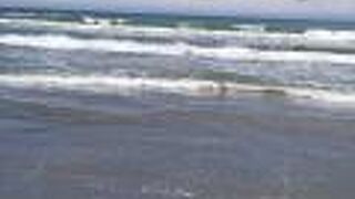 とても広々とした海浜公園