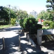 盛夏の児童公園