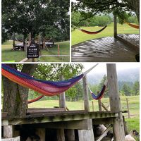 羊とお昼寝ハンモック。 ヤギはデッキ下で休んでいました。