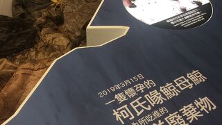 国立台湾博物館