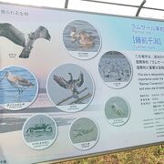 2002年にラムサール条約に登録された干潟