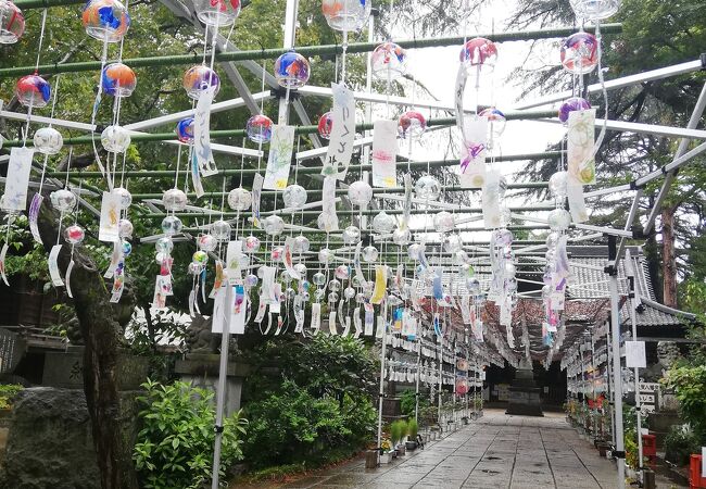 大宝八幡宮本殿