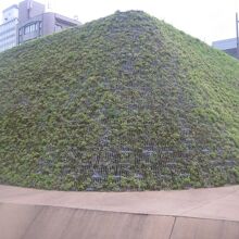 一見すると、何のこっちゃ、な風情なのですが…。