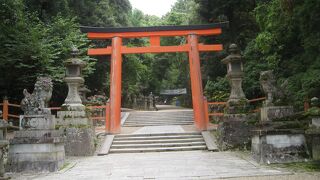 東大寺と奈良公園とセットで