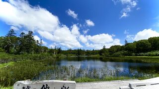 ボーイスカウトが名付け親