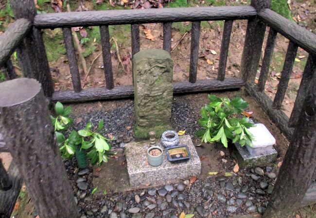 案内板がいくつも建っていました。