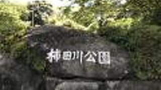 家族連れが多い