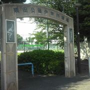 隅田公園少年野球場 クチコミ・アクセス・営業時間|浅草 隅田公園少年野球場 クチコミ・アクセス・営業時間|浅草