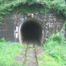 越前大野～九頭竜湖駅間は特にトンネルが多いですね。