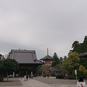 新勝寺まで入るととても広々とした参道になります