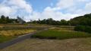 敷地が広いため、散策する際は時間を十分確保したほうが良いです