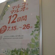 マルコとマルオ