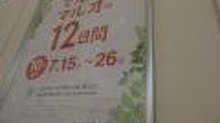 マルコとマルオ