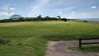 サザンゲートブリッジを超えた公園に猫多数