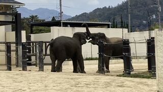 こじんまりしているけれど、見ごたえあります。
