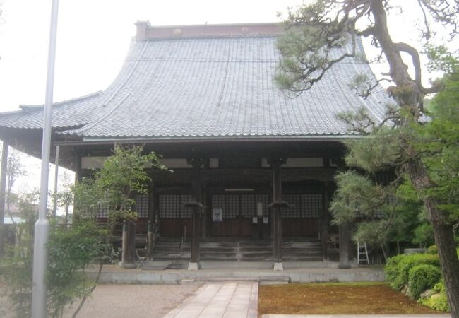 枝垂桜の名所として有名なお寺です