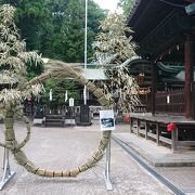 境内の茅の輪が印象に残りました