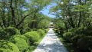 蓼科湖向かいに建つ静かな寺です