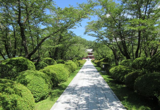 蓼科湖向かいに建つ静かな寺です