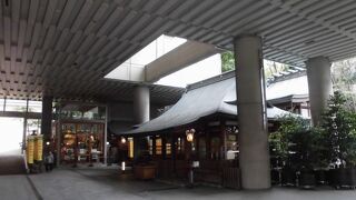 イチョウは有名