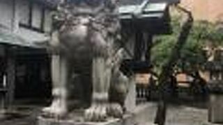 名古屋城の氏らしいです。