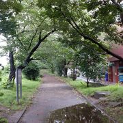 蝉の鳴き声もして自然溢れた都内中心部の公園でした。