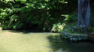 白虎隊士が潜って引き上げてきた洞穴