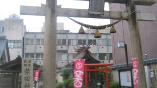 神社としてのテイストは正直脇役に感じます