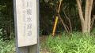 帷子川の雰囲気が味わえます