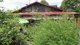 ランチをしました