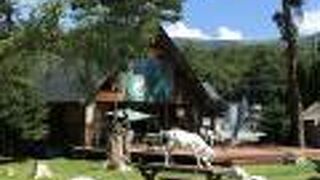 ヤギが増えて牧歌的な雰囲気になりました