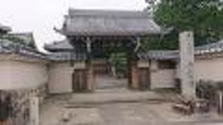 境内の松がうまく剪定されており、綺麗でした