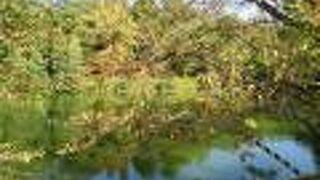 雄山閣のそばにあります