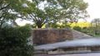 広場のような公園です