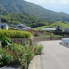 お花も綺麗でした