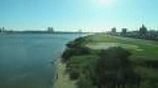 見るとほっとします