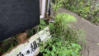 雨上がりの猫の細道
