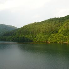 ダム湖のもみじ湖