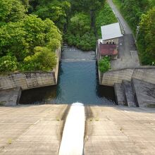 ちょうど放流中でした