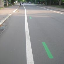 北大のメインストリート。緑線も微妙に左右に揺れていました。