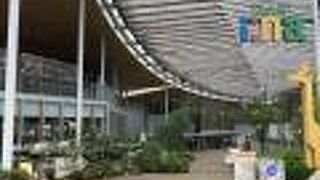 クライミング！